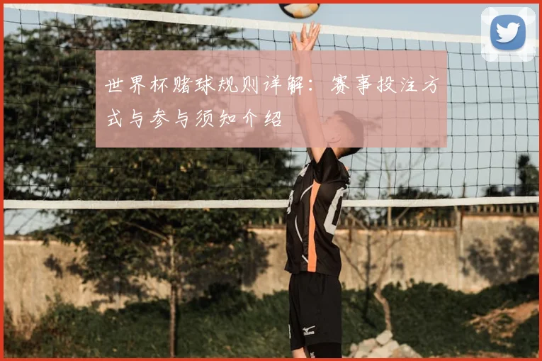 世界杯赌球规则详解:赛事投注方式与参与须知介绍