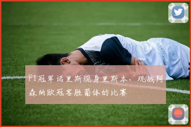 F1冠军诺里斯现身里斯本，观战阿森纳欧冠客胜葡体的比赛