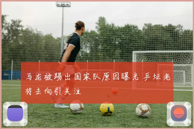 马龙被踢出国家队原因曝光 乒坛老将去向引关注