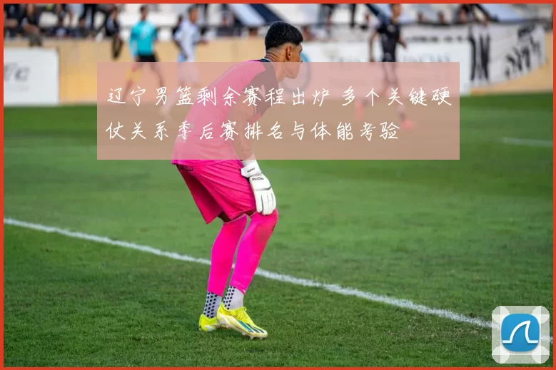 辽宁男篮剩余赛程出炉 多个关键硬仗关系季后赛排名与体能考验